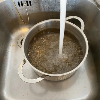 Filling a pan with rye with water
