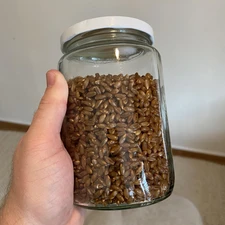 Jar filled with properly hydrated rye