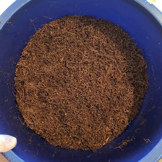 Showing bowl filled with coco coir at field capacity