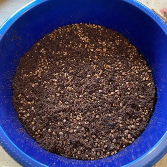 Mixed coco coir and grain inside the bowl